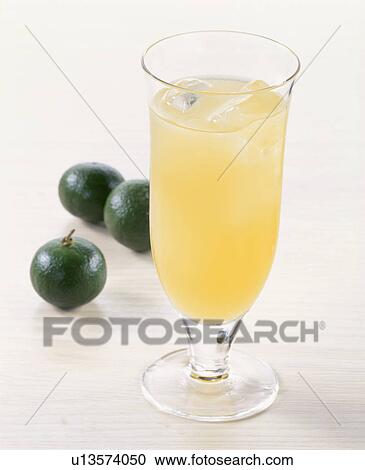 Citrus Depressa View Large Photo Image Stock Image - Citrus Depressa. Fotosearch