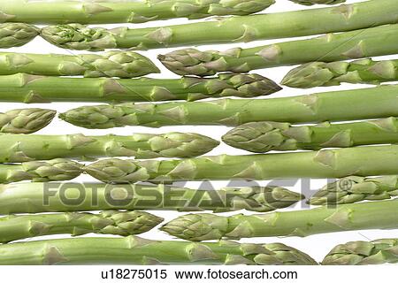 Asparagus View Large Photo Image Stock Photography - Asparagus. Fotosearch