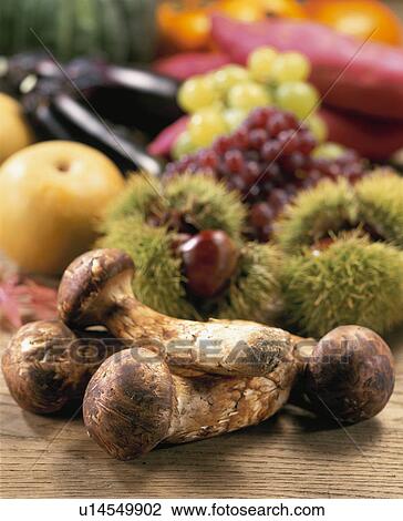 Stock Image - Autumn Material Set. Fotosearch