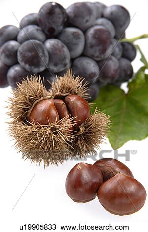 Stock Image - Fruits Of Autumn. Fotosearch