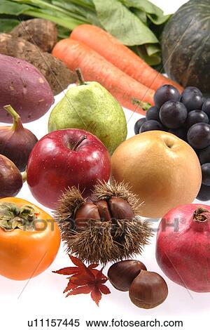 Fruits Of Autumn View Large Photo Image Stock Photography - Fruits Of Autumn. Fotosearch