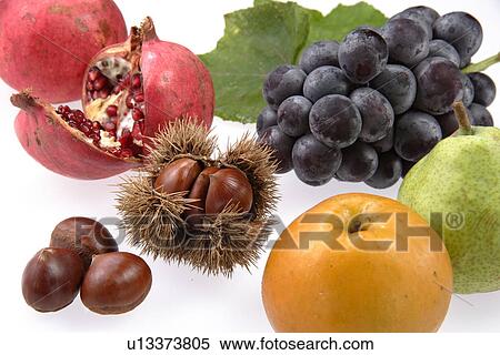 Fruits Of Autumn View Large Photo Image Stock Photography - Fruits Of Autumn. Fotosearch