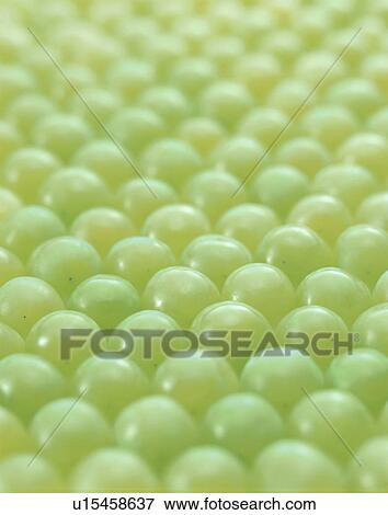 Grape, Muscat, View Large Photo Image Stock Photo - Grape, Muscat,. Fotosearch