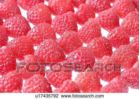 Stock Image - Raspberry. Fotosearch