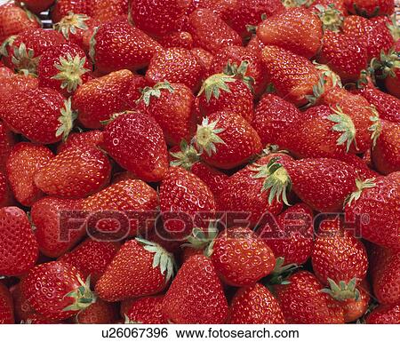 Stock Photograph - Strawberry. Fotosearch