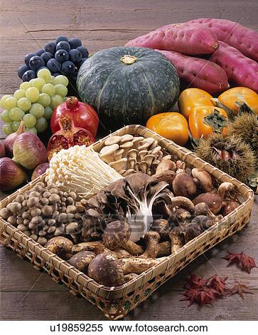 Taste Of Autumn View Large Photo Image Stock Photography - Taste Of Autumn. Fotosearch