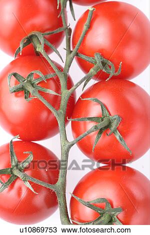 Tomato View Large Photo Image Stock Image - Tomato. Fotosearch