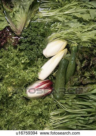 Vegetable Set View Large Photo Image Picture - Vegetable Set. Fotosearch