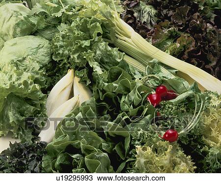 Vegetable Set View Large Photo Image Stock Image - Vegetable Set. Fotosearch