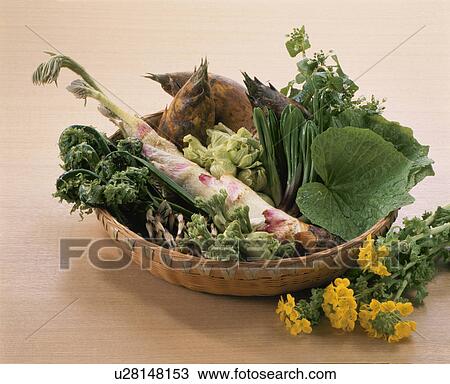 Stock Image - Wild Grass Set. Fotosearch