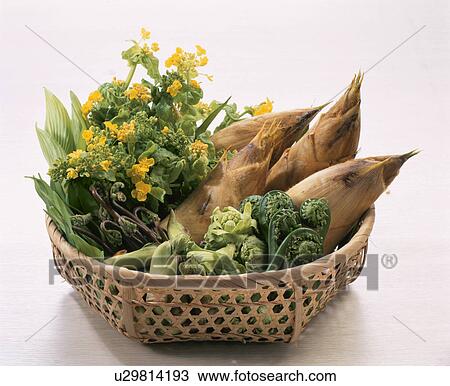 Stock Image - Wild Grass Set. Fotosearch