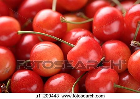 Stock Image - Cherry. Fotosearch