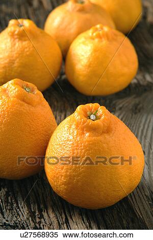 Dekopon View Large Photo Image Stock Photography - Dekopon. Fotosearch