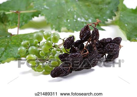 Stock Image - Dried Grape. Fotosearch