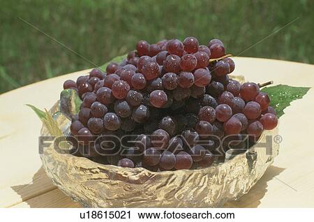 Stock Image - Grape, Delaware,. Fotosearch
