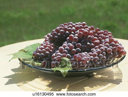 Stock Photography - Grape, Delaware,. Fotosearch