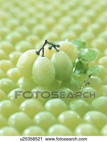 Grape, Muscat, View Large Photo Image Stock Image - Grape, Muscat,. Fotosearch
