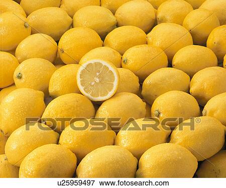 Stock Photo - Lemon. Fotosearch