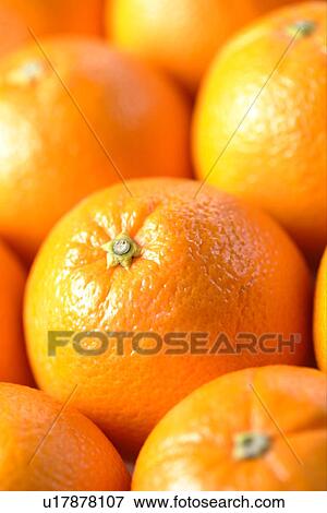 Mandarin Orange View Large Photo Image Stock Photo - Mandarin Orange. Fotosearch