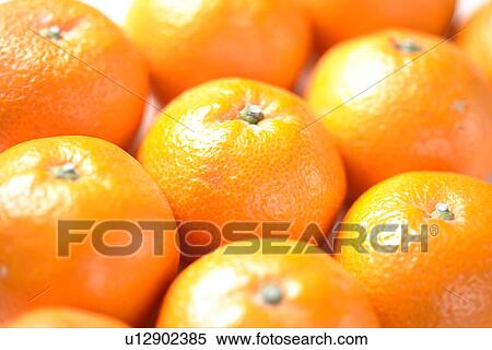 Stock Photography - Mandarin Orange. Fotosearch