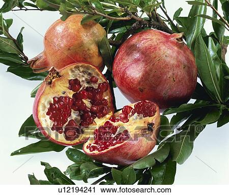 Pomegranate View Large Photo Image Stock Image - Pomegranate. Fotosearch