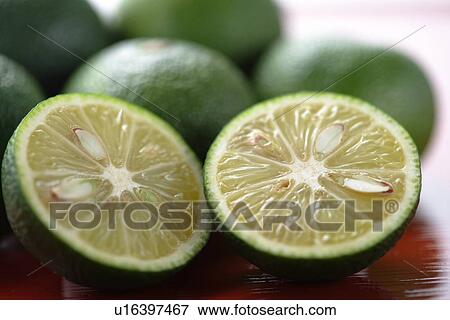 Stock Photo - Small Citrus Fruit. Fotosearch
