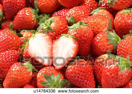 Strawberry View Large Photo Image Stock Photograph - Strawberry. Fotosearch