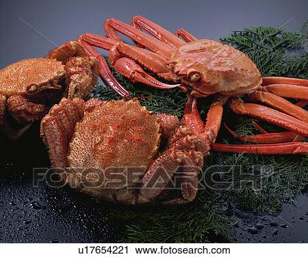 Stock Image - Crab. Fotosearch