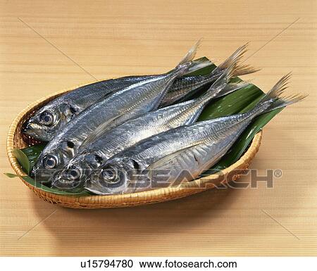 Horse Mackerel View Large Photo Image Stock Image - Horse Mackerel. Fotosearch