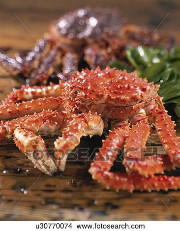 Picture - King Crab. Fotosearch