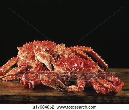 King Crab View Large Photo Image Stock Image - King Crab. Fotosearch