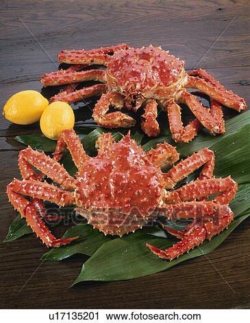 King Crab View Large Photo Image Stock Image - King Crab. Fotosearch