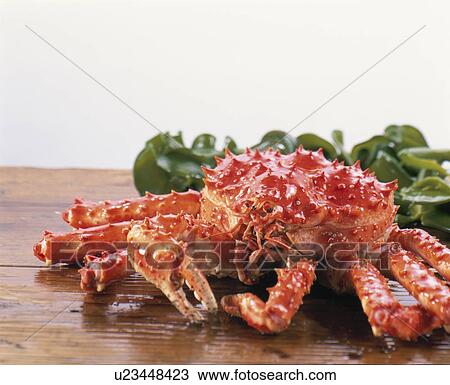 King Crab View Large Photo Image Stock Image - King Crab. Fotosearch