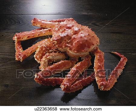 King Crab View Large Photo Image Stock Photo - King Crab. Fotosearch