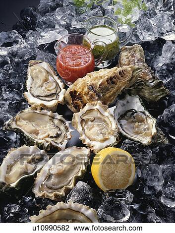Oyster View Large Photo Image Stock Image - Oyster. Fotosearch