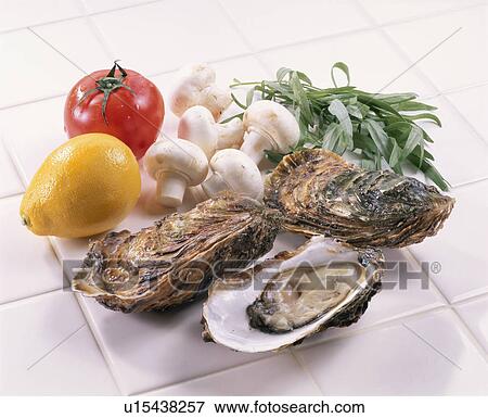Stock Photo - Oyster. Fotosearch