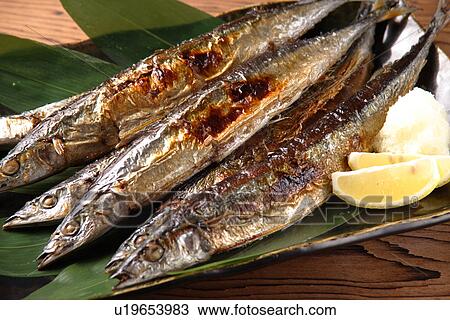 Pacific Saury Grilled With Salt View Large Photo Image Stock Image - Pacific Saury Grilled With Salt. Fotosearch
