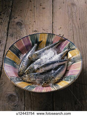 Picture - Sardine. Fotosearch