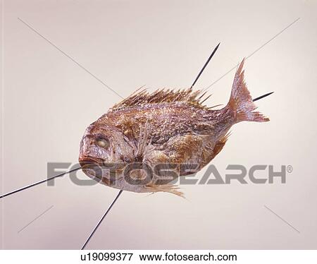 Stock Photo - Sea Bream Grilled With Salt. Fotosearch