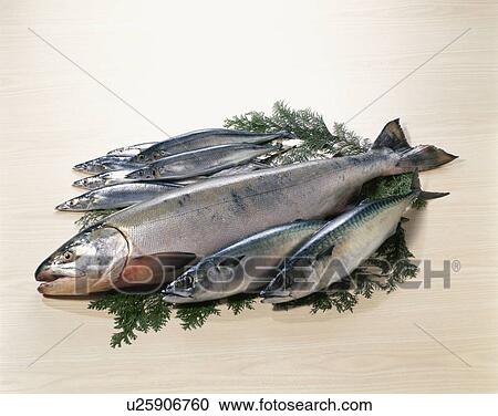 Stock Image - Sea Food Set. Fotosearch