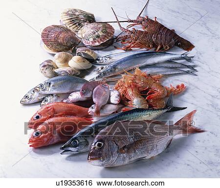 Stock Photograph - Sea Food Set. Fotosearch