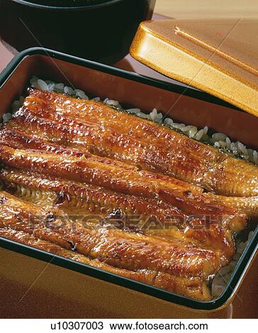 Broiled Eels On Rice View Large Photo Image Stock Image - Broiled Eels On Rice. Fotosearch