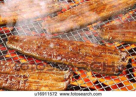 Long Baking Of An Eel View Large Photo Image Stock Image - Long Baking Of An Eel. Fotosearch