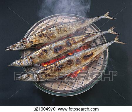Pacific Saury Grilled With Salt View Large Photo Image Stock Image - Pacific Saury Grilled With Salt. Fotosearch