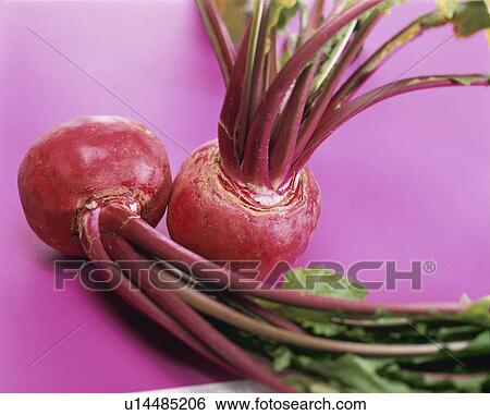 Stock Photograph - Beet. Fotosearch