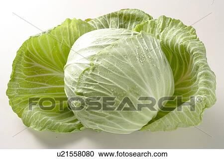 Stock Image - Cabbage. Fotosearch