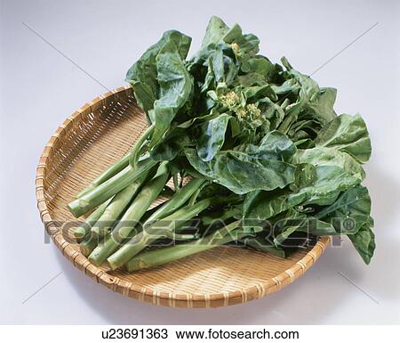 Stock Image - Chinese Kairan Vegetable. Fotosearch