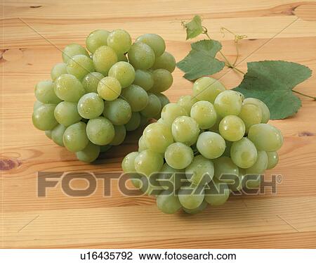 Grape, Muscat, View Large Photo Image Stock Image - Grape, Muscat,. Fotosearch