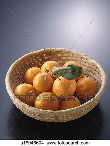 Mandarin Orange View Large Photo Image Picture - Mandarin Orange. Fotosearch