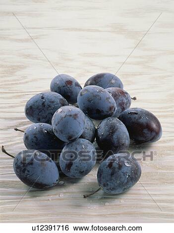 Stock Photograph - Prune. Fotosearch